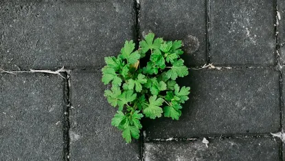 Казино Депозит Уин Мобилно приложение